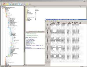 Example of        a        Database Software