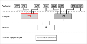 TCP in the Protocol Hierarchy